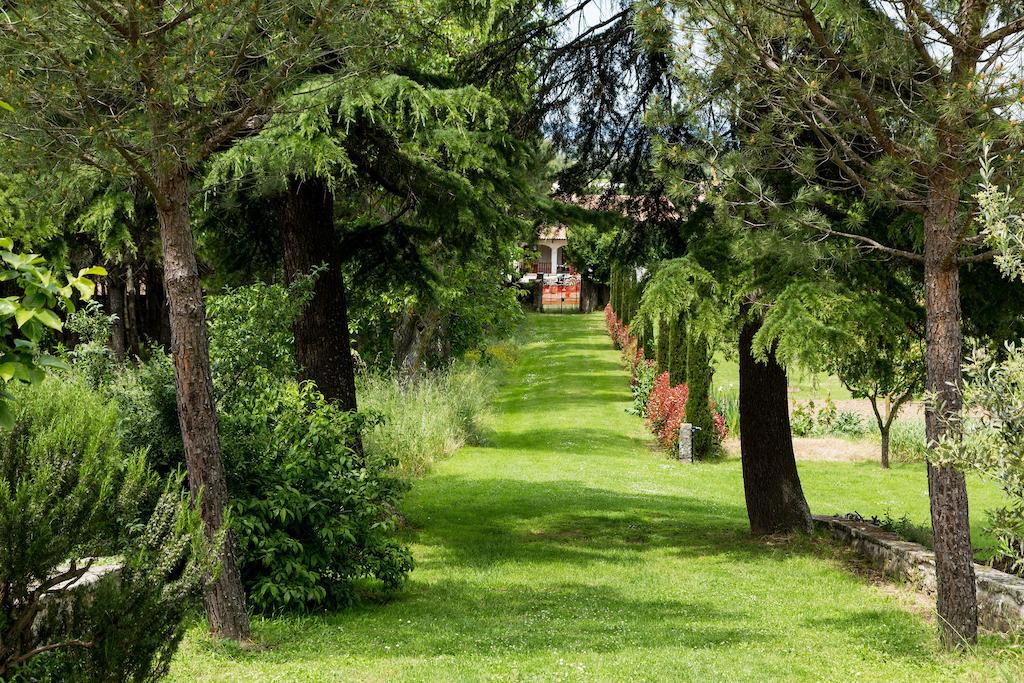 Casale Vacanze Il Granaio Cortona Ngoại thất bức ảnh